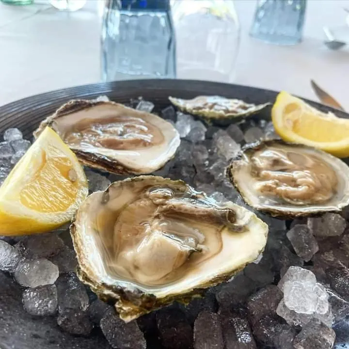 Hotel Tancat De Codorniu Les Cases d'Alcanar